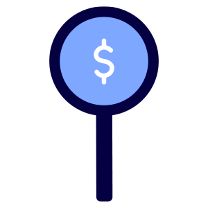 icon of a magnifying glass with a money sign