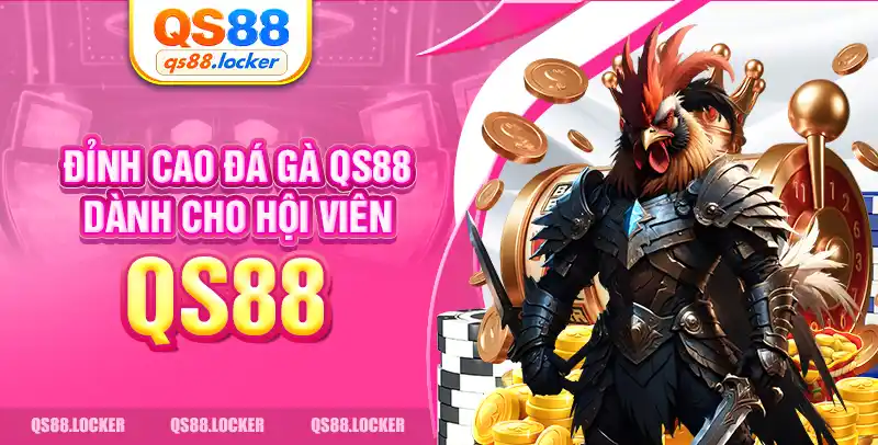 Đỉnh cao đá gà QS88 dành cho hội viên 