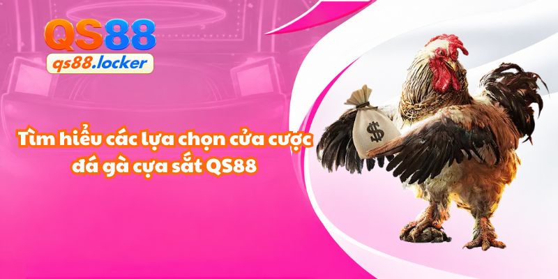 Tìm hiểu các lựa chọn cửa cược đá gà cựa sắt QS88