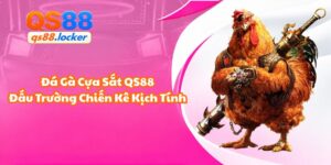 Đá Gà Cựa Sắt QS88 - Đấu Trường Chiến Kê Kịch Tính