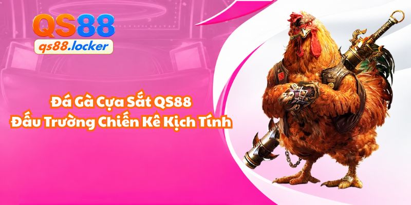Đá Gà Cựa Sắt QS88 - Đấu Trường Chiến Kê Kịch Tính
