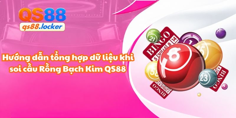 Hướng dẫn tổng hợp dữ liệu khi soi cầu Rồng Bạch Kim QS88